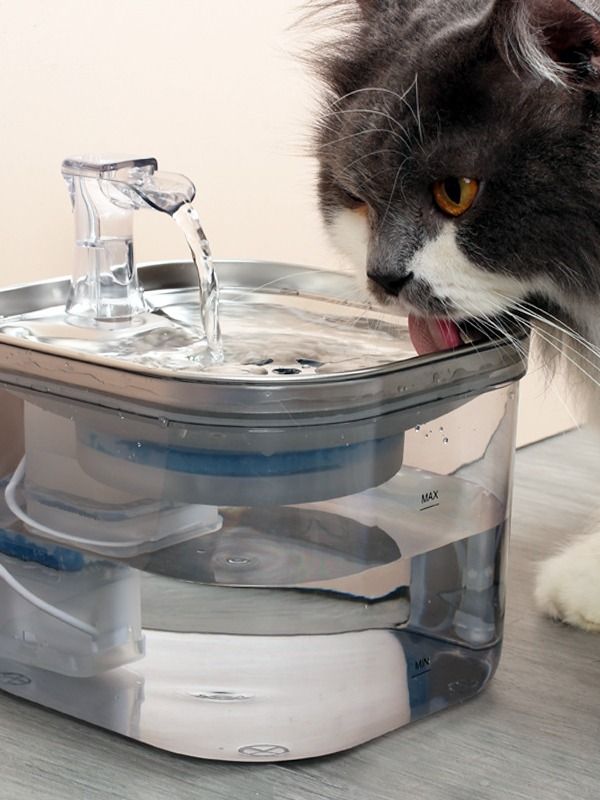 Pet Cat Dog Stainless Steel Automatic Circulation Water Dispenser Intelligent Fountain Pets Accessories product image (2)