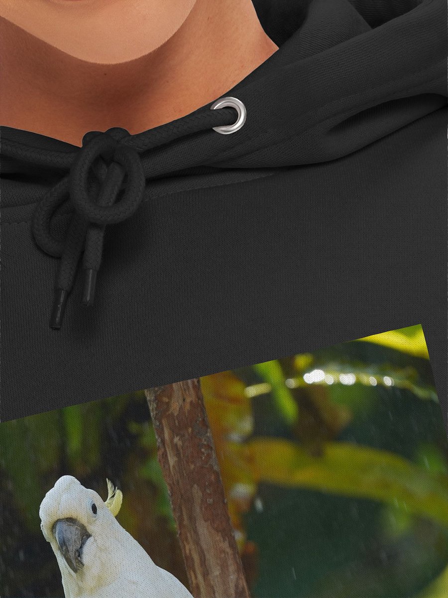 Crested Parrot Perch Hoodie product image (7)
