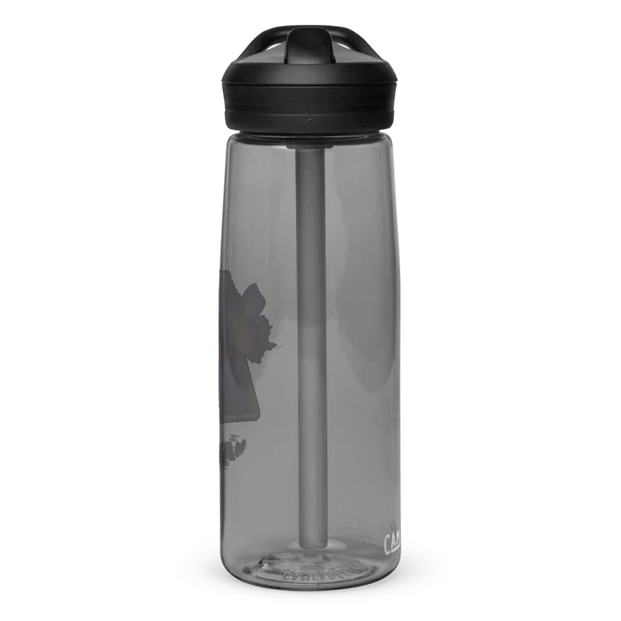 AVAH Water Bottle product image (2)