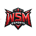 WSM ESPORTS