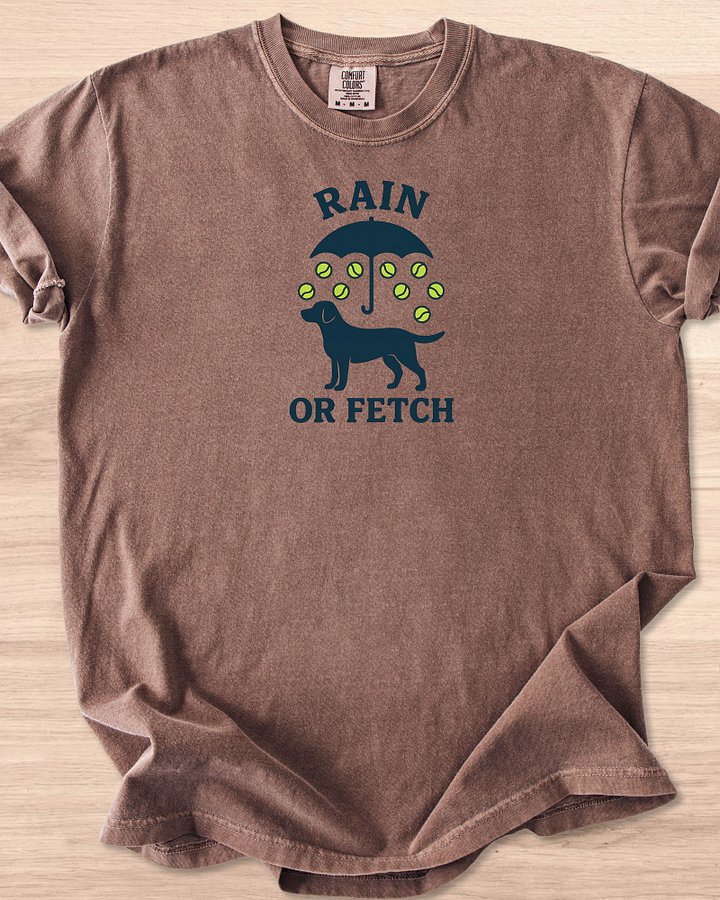 Rain or Fetch (Labrador Retriever) Tee product image (4)