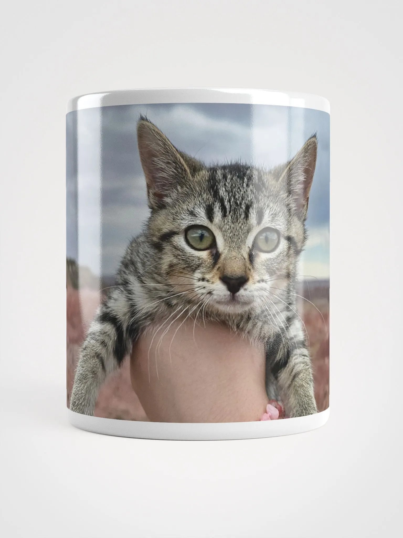 The Earl in Petrified Forest Mug product image (5)