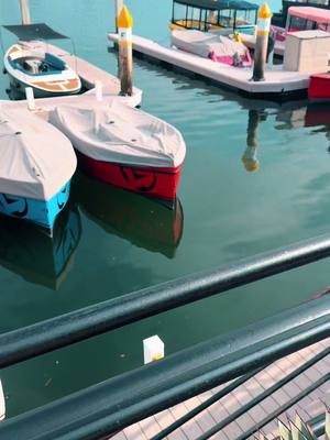 This is my favorite place 🌊 #fyp #synthpop #indiemusic 