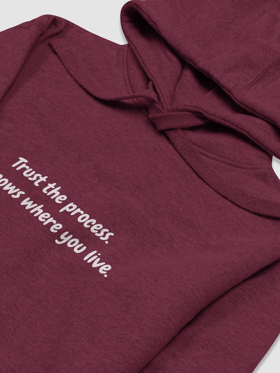 Trust the process hoodie product image (5)