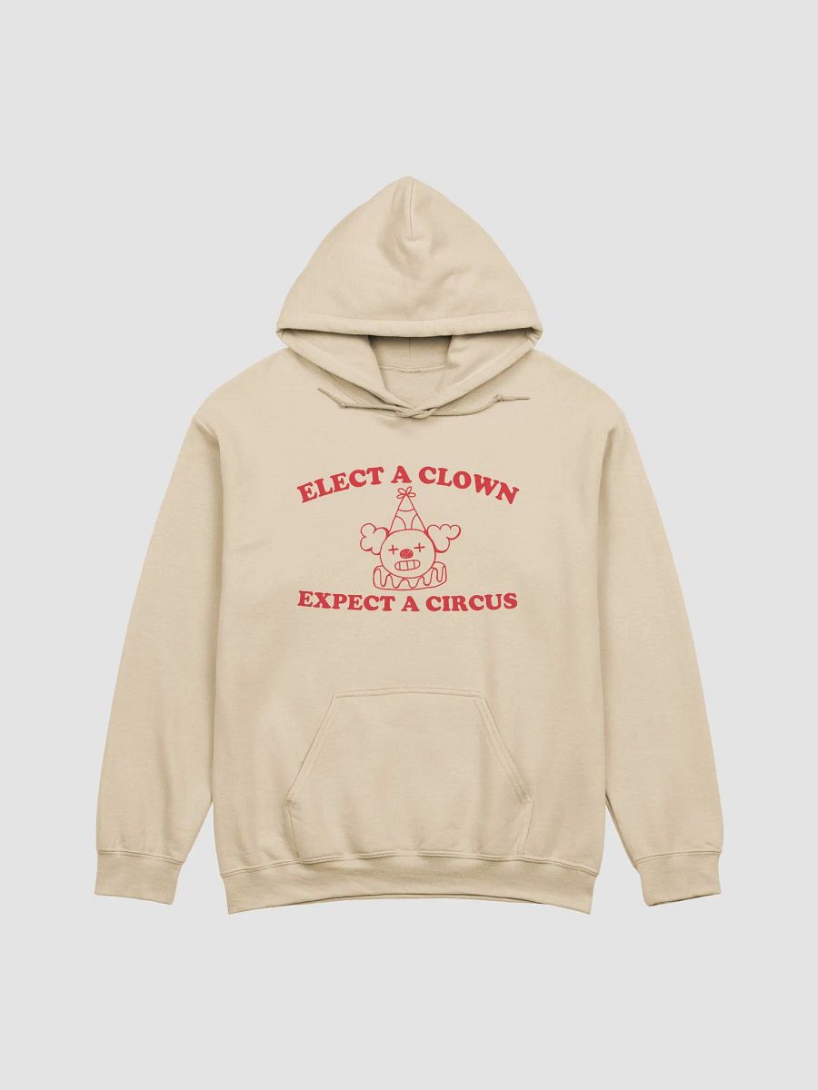 Elect a clown expect a circus Hoodie product image (4)