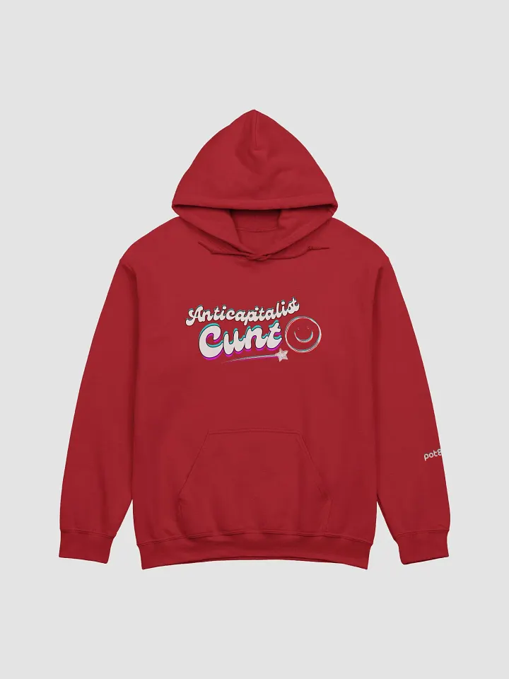 ANTICAPITALIST C*NT 3D classic hoodie product image (49)