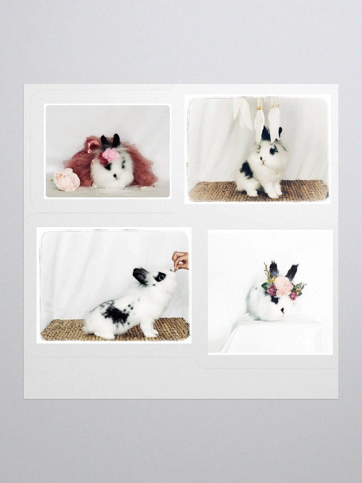 Coco Kiss Cut Stickers product image (1)