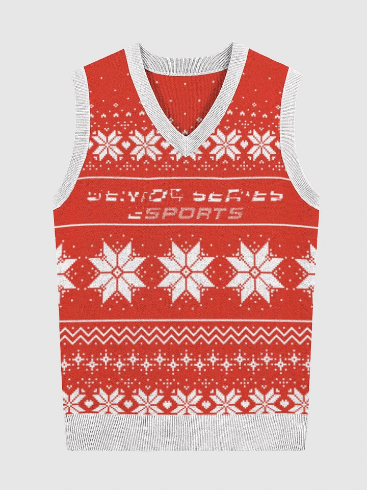 Team SRSE Christmas Vest product image (3)