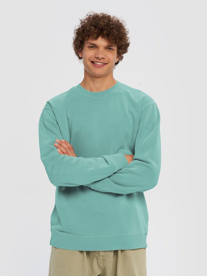 Crest Sweatshirt product image (1)