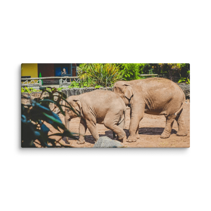 Wildlife Wanderers product image (1)