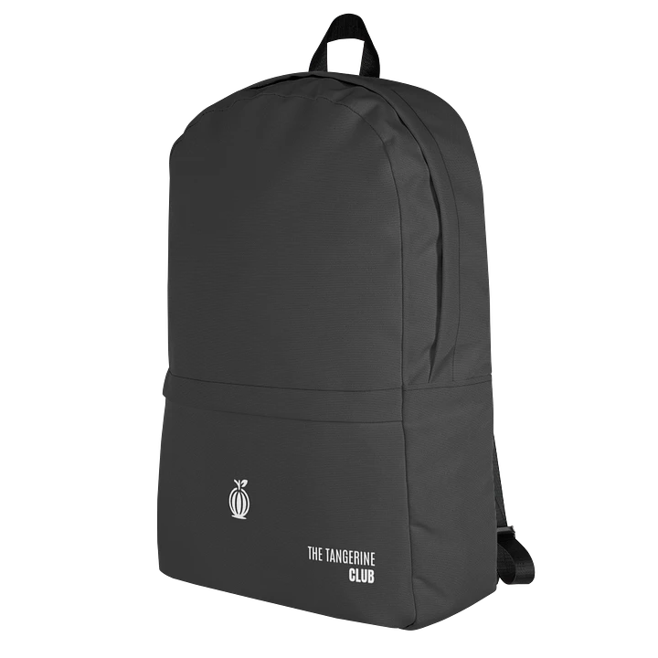 TTC Minimalist Black Backpack 15'' laptop product image (1)