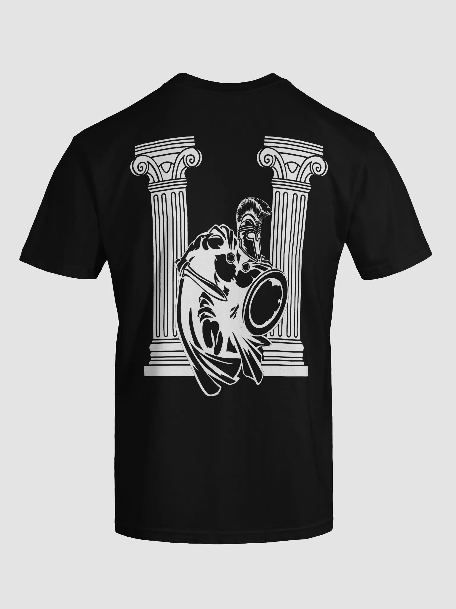 House Aegis | T-Shirt product image (74)
