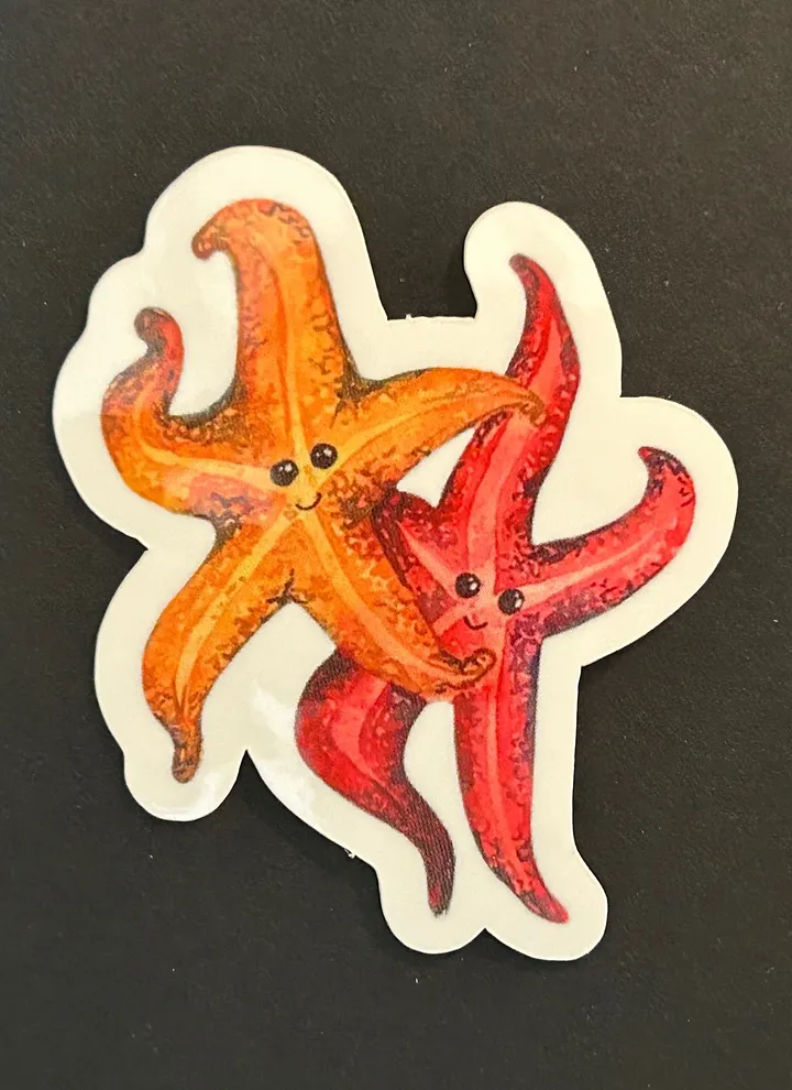 Star Pals Vinyl Sticker product image (1)