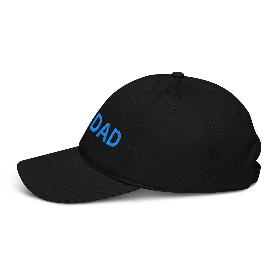 Organic #1 DAD Hat product image (4)