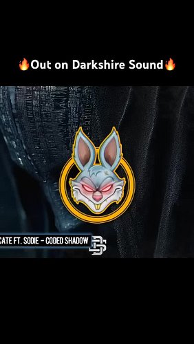 Stonx & Sindicate ft. Sodie - Coded Shadow #music #dnbmusic #merchdrop #drumandbass #drumnbass #dnbfamily #dnb4life #dnblife #
