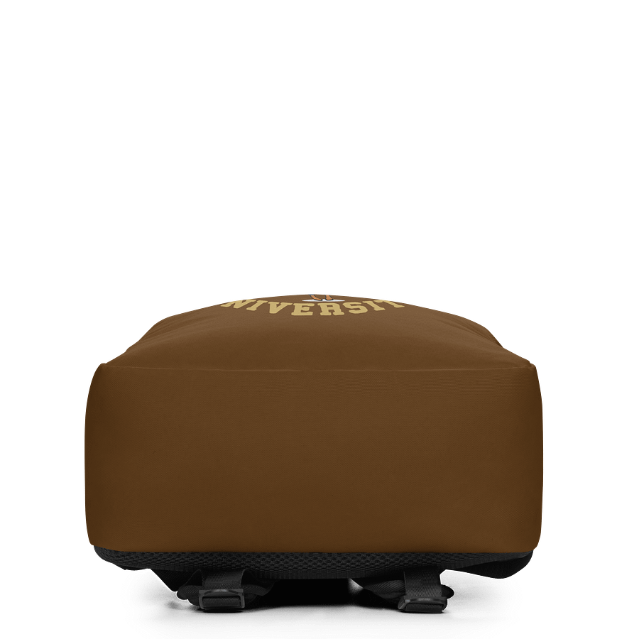 Beautiful Brown Girl University Backpack product image (6)