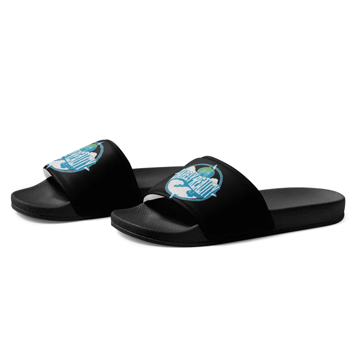 "BR COMPASS" SLIDES (BLK) product image (2)
