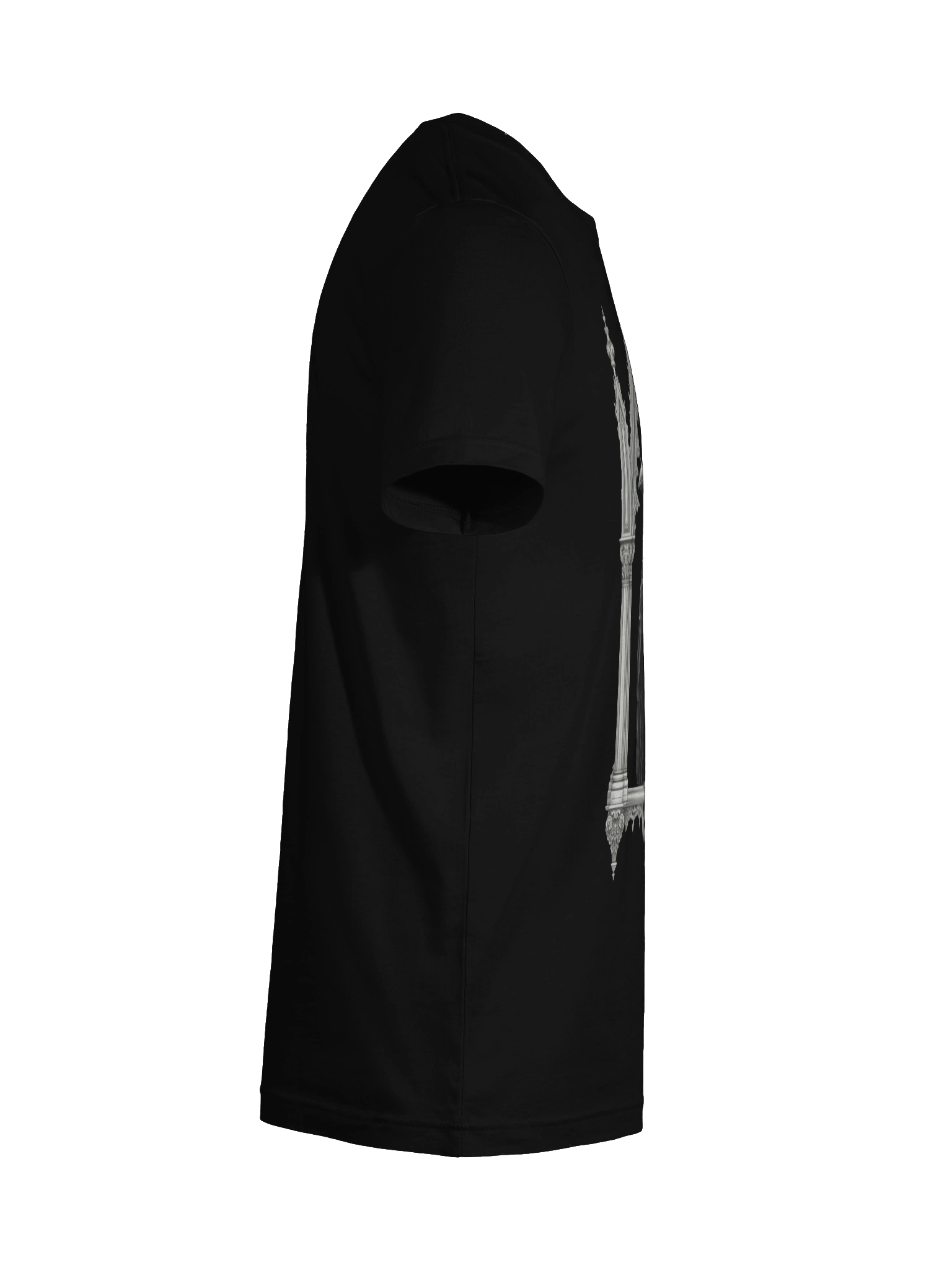 Raven Framed product image (12)