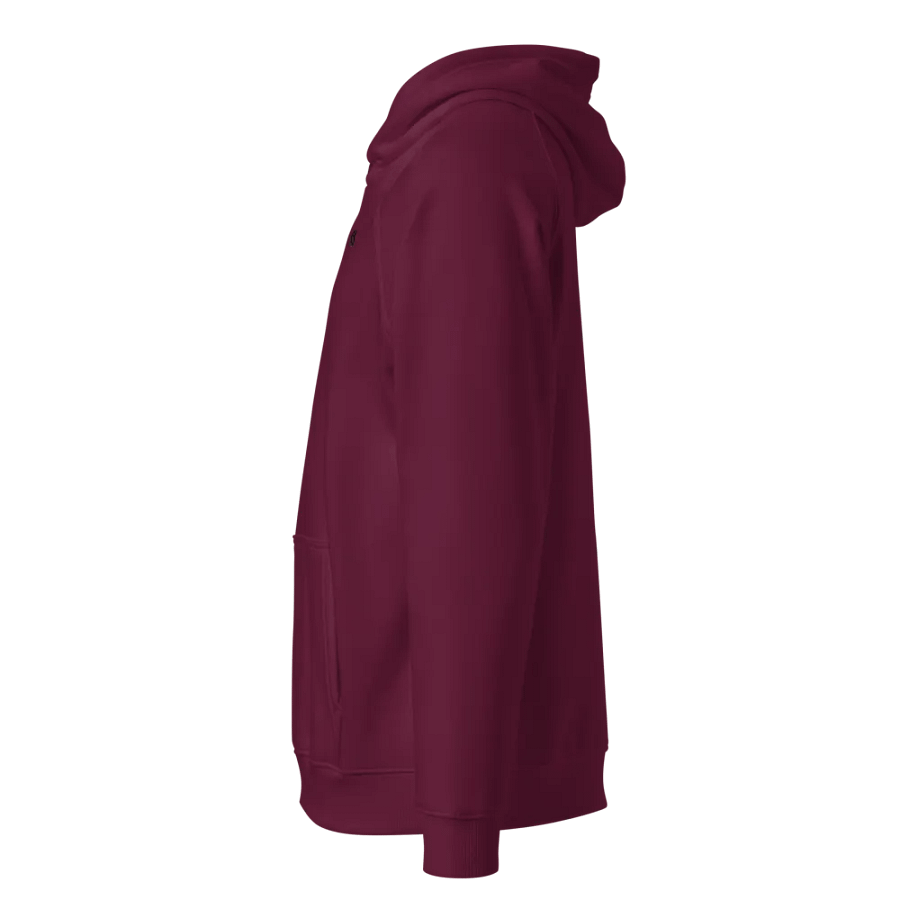 CS Hoodie product image (2)