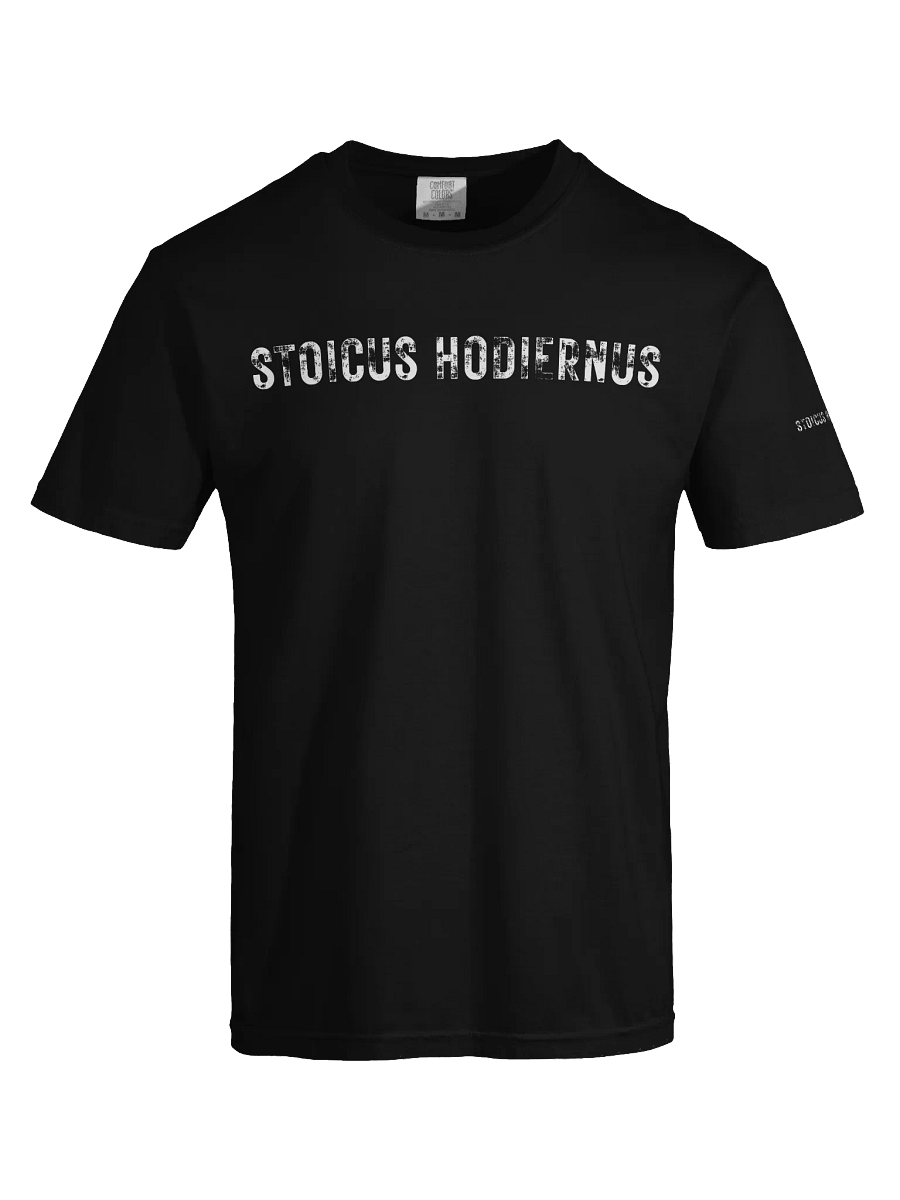 Modern Stoic Tee — “Fata Viam Invenient” Edition product image (20)