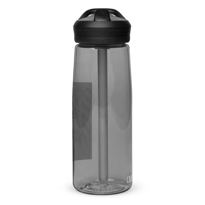Wild Guides - Racoon product image (2)