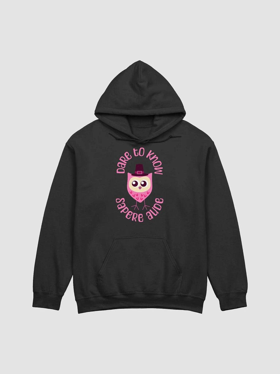 Sapere Aude Hoodie product image (3)