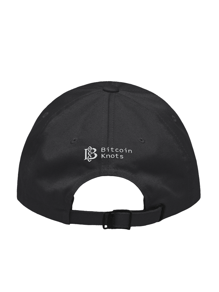 BIP 110 Dad Hat product image (14)