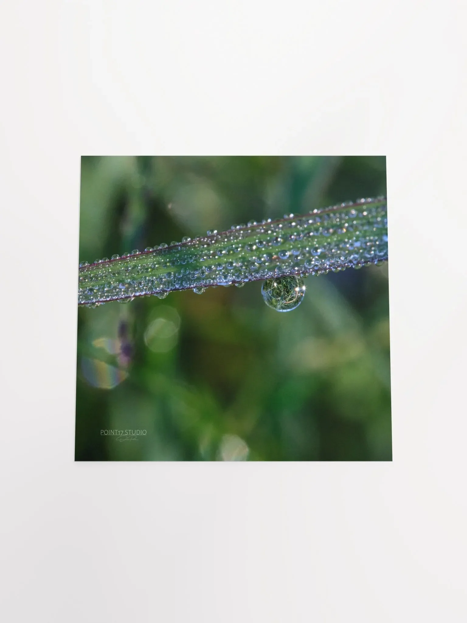 Dew Gems #3 - Print product image (10)