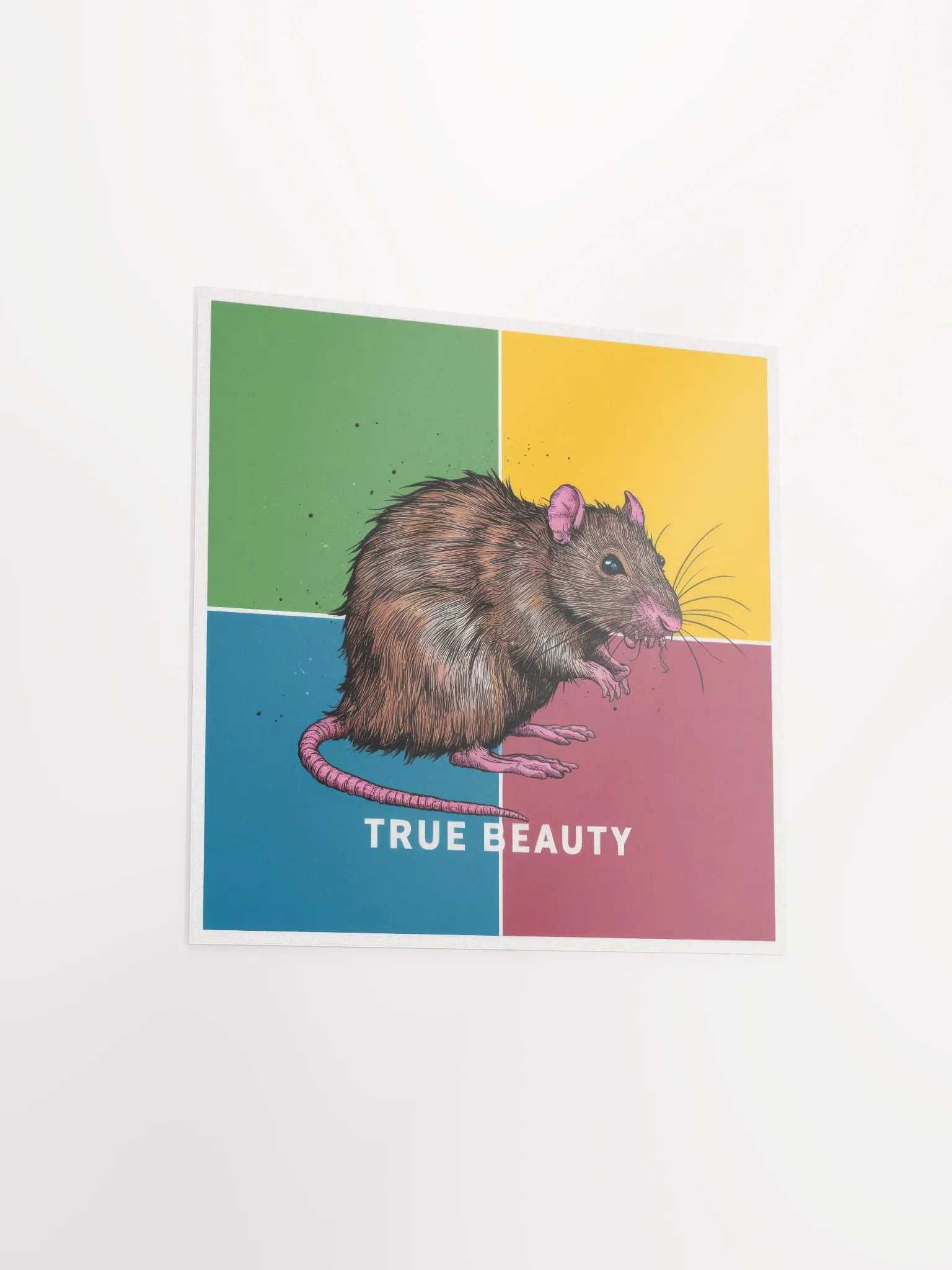 Rat product image (14)