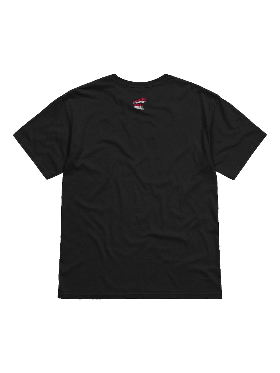 Polandball Official Association T-shirt - Belgium product image (2)