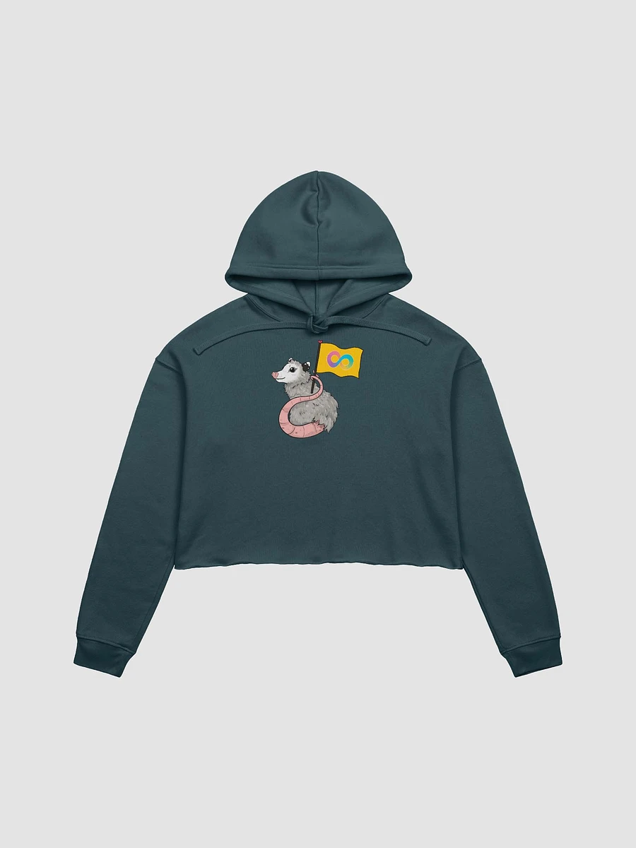 Autism Pride possum fleece crop hoodie product image (2)