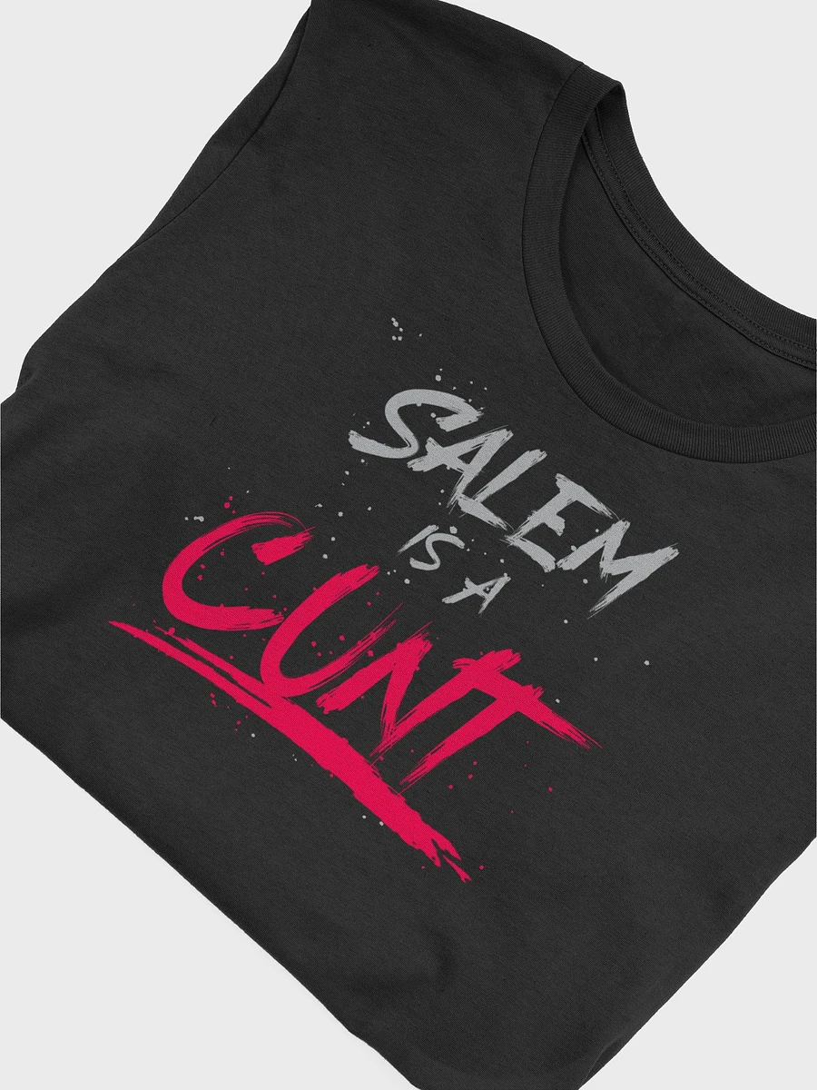 Salem Is A C*NT [T-Shirt] product image (4)