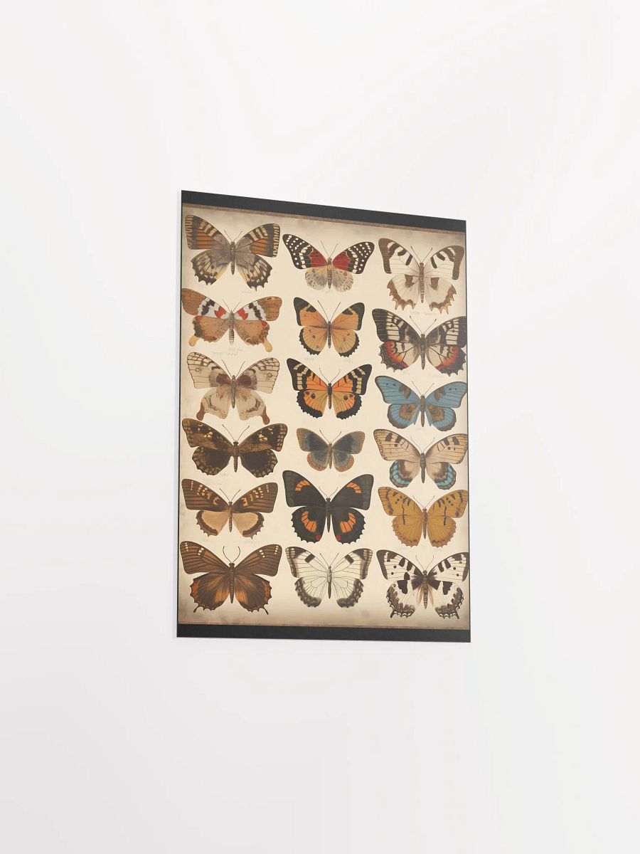 Butterfly Dreams Poster product image (9)