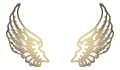 AureaCorvae