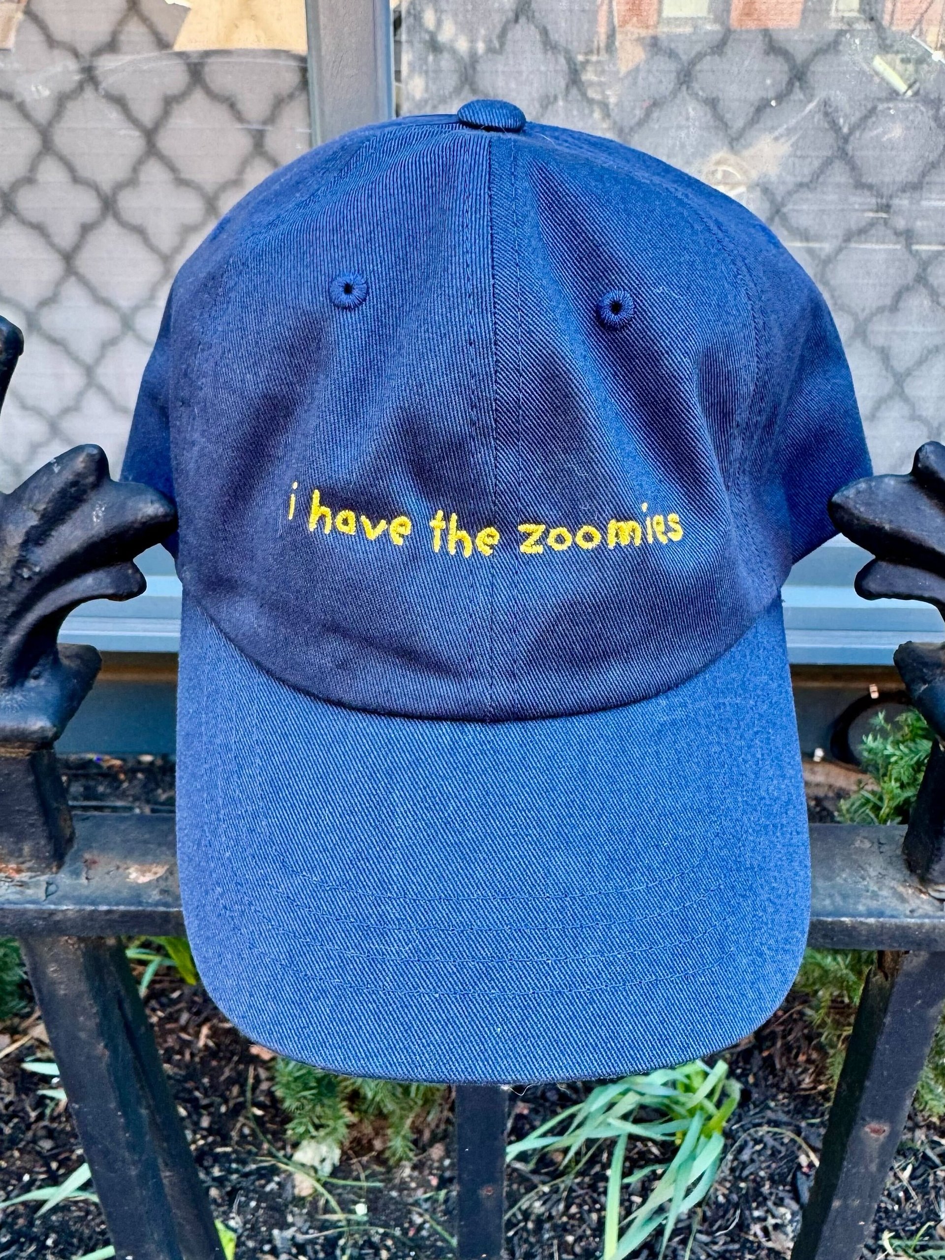 I have the zoomies hat product image (1)