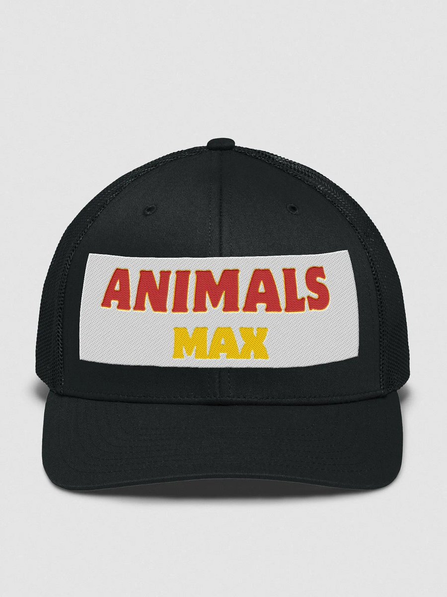 Richardson Trucker Hat product image (2)