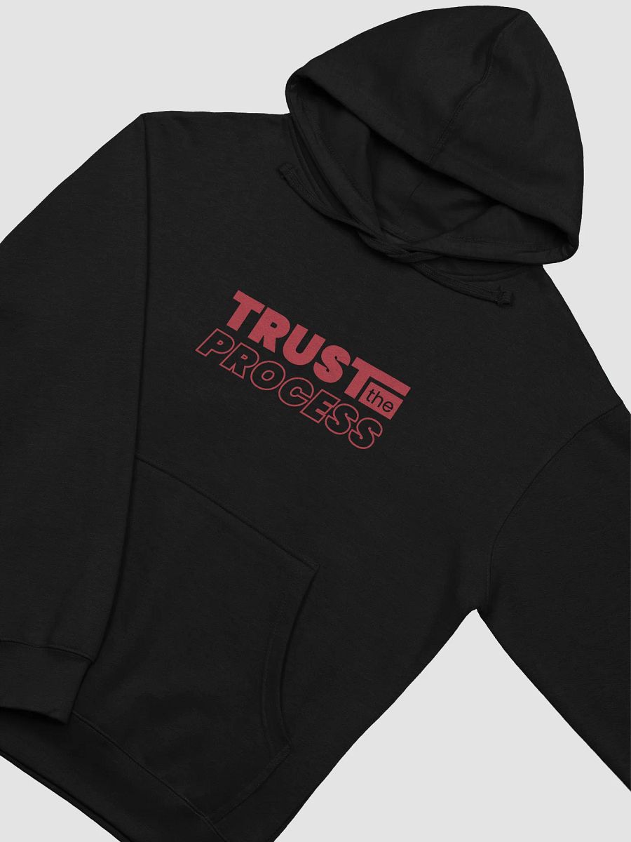 Bold Red 'TRUST the PROCESS' Hoodie product image (15)