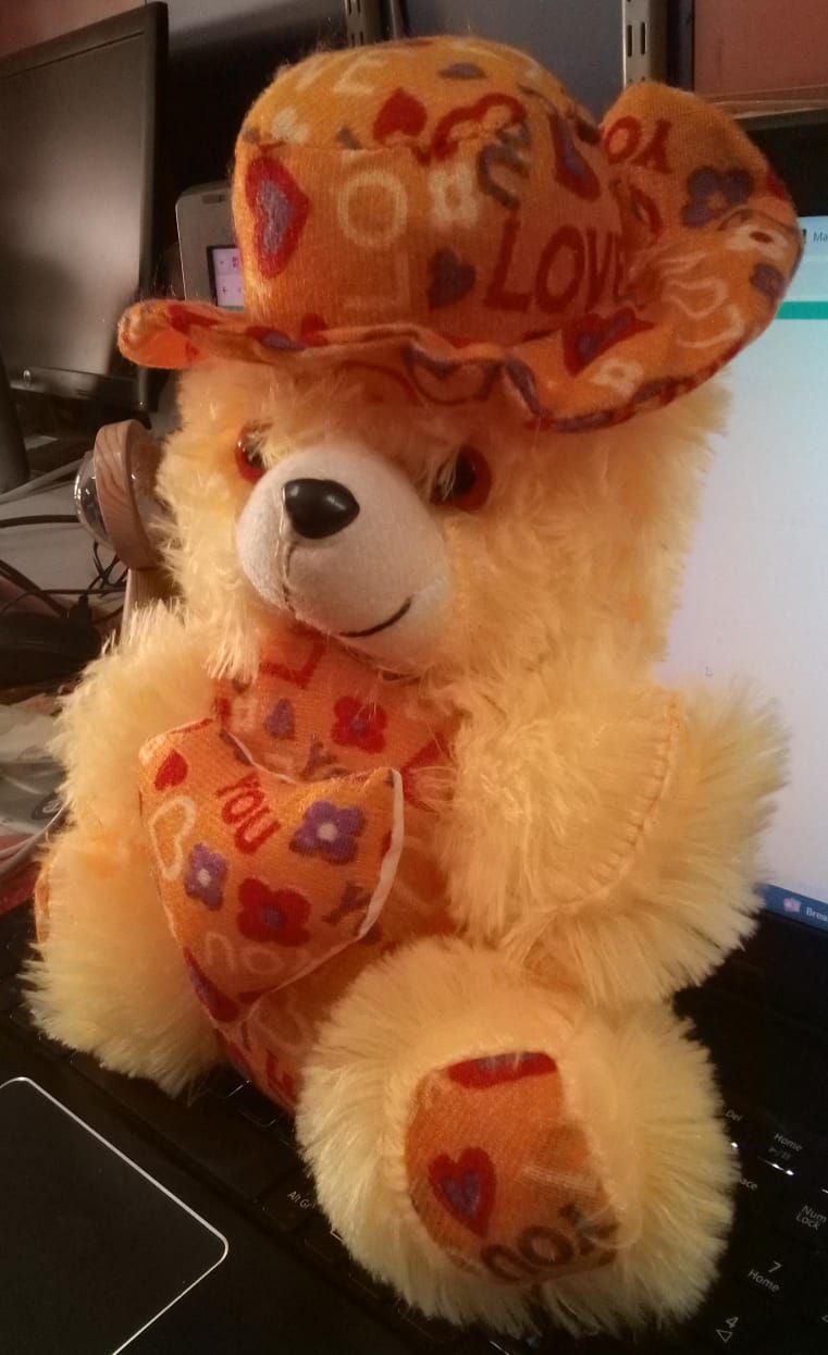 TEDDY BEAR product image (3)