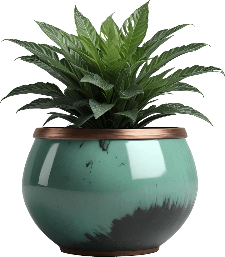 Jade Signature – Gradient Planter PNG product image (1)