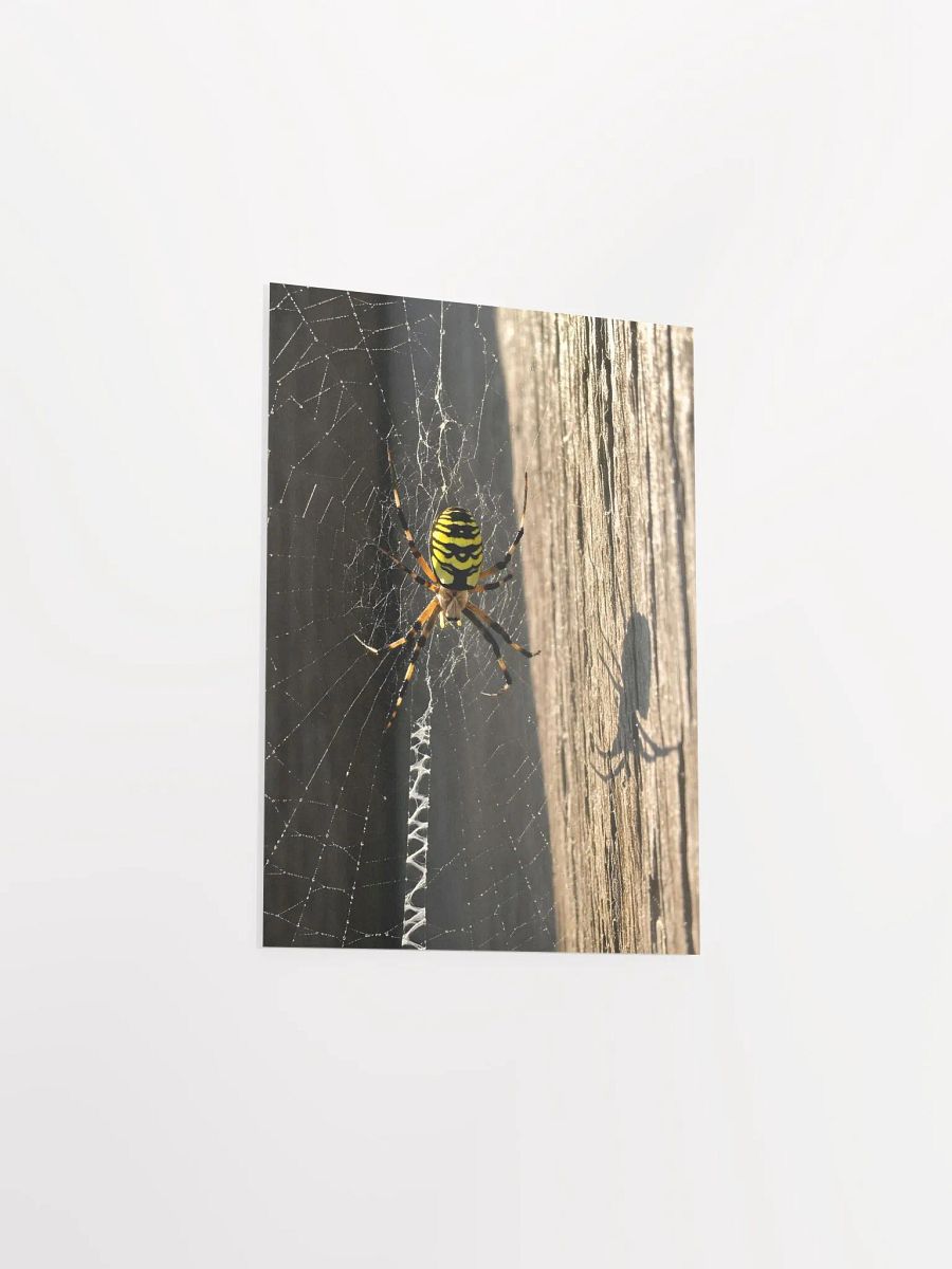 Golden Web: Yellow Garden Sentinel Poster product image (3)