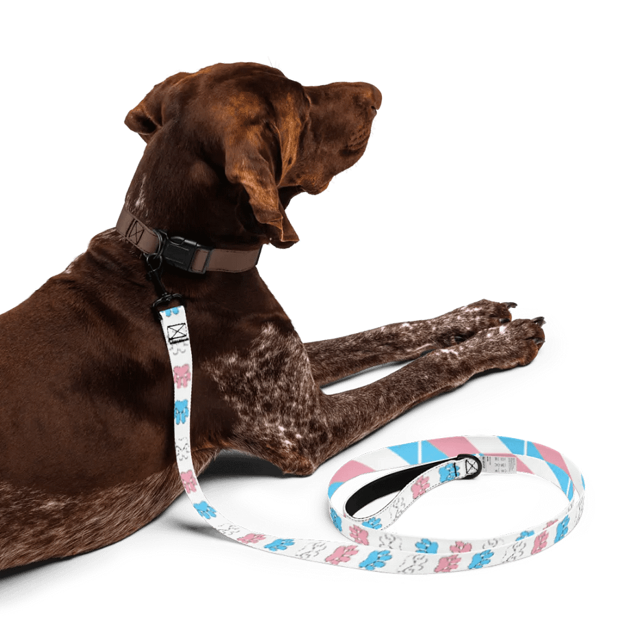 Trans Pride Leash product image (5)