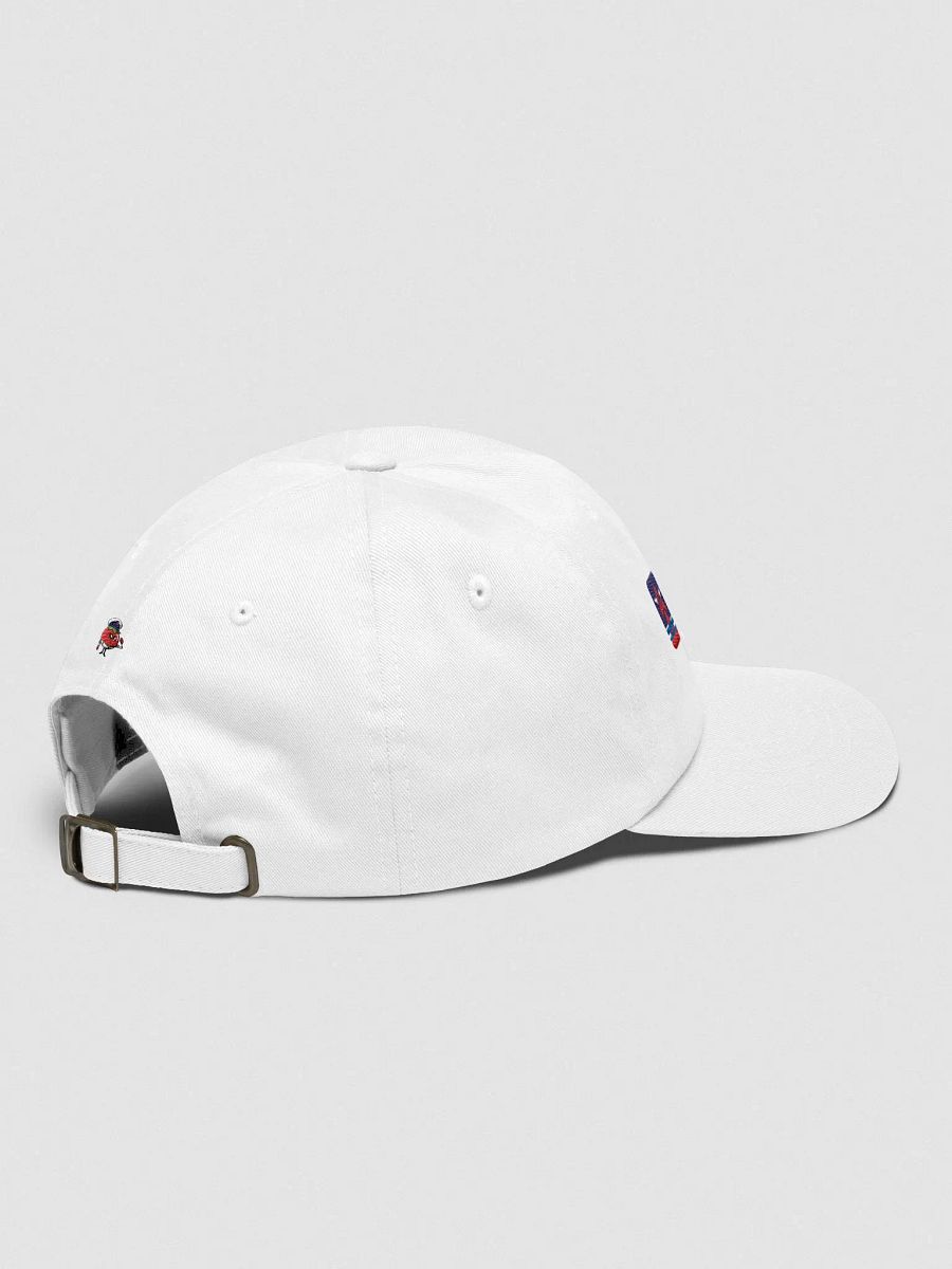 Garden Interstellar Initiative Organization Hat | GII Hat | GII Logo Hat product image (3)