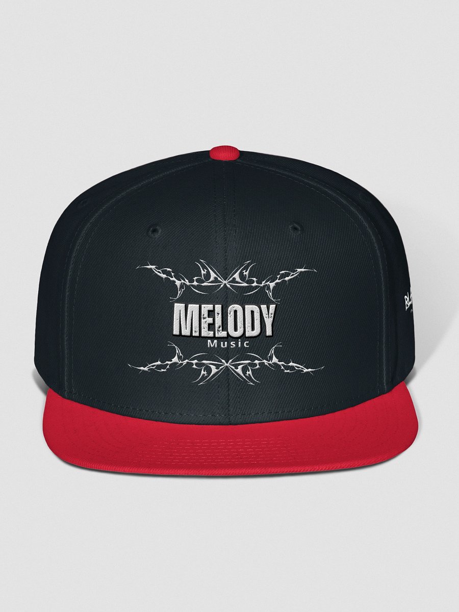 MELODY x Blare Collab Distressed Snapback Cap product image (9)