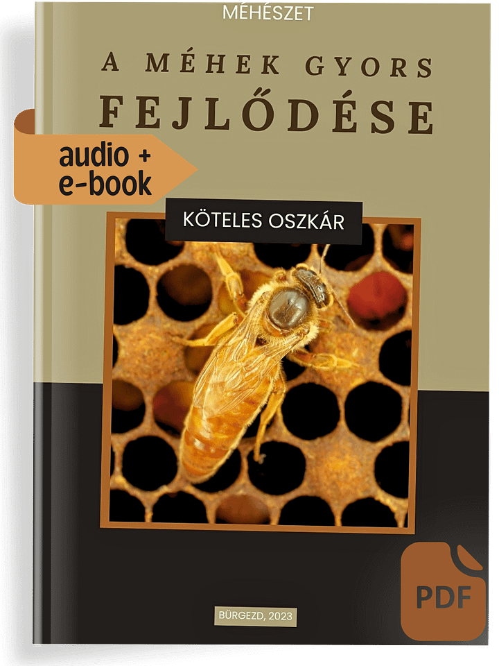 KönyvCsomag - Méhészet - A méhek gyors fejlődése product image (1)