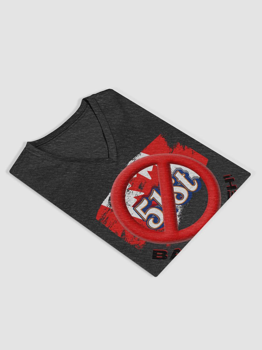 Canadian Vibes Relaxed V-Neck Tee product image (5)