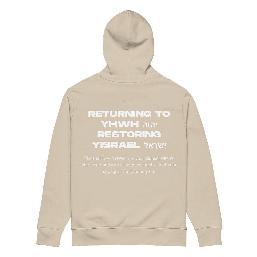 Desert Return to YHWH Hoodie product image (2)