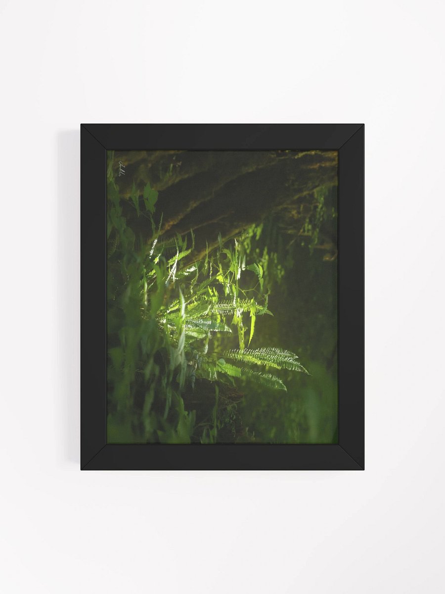 A little shot of sunshine in the wood's Framed Matte Poster product image (18)