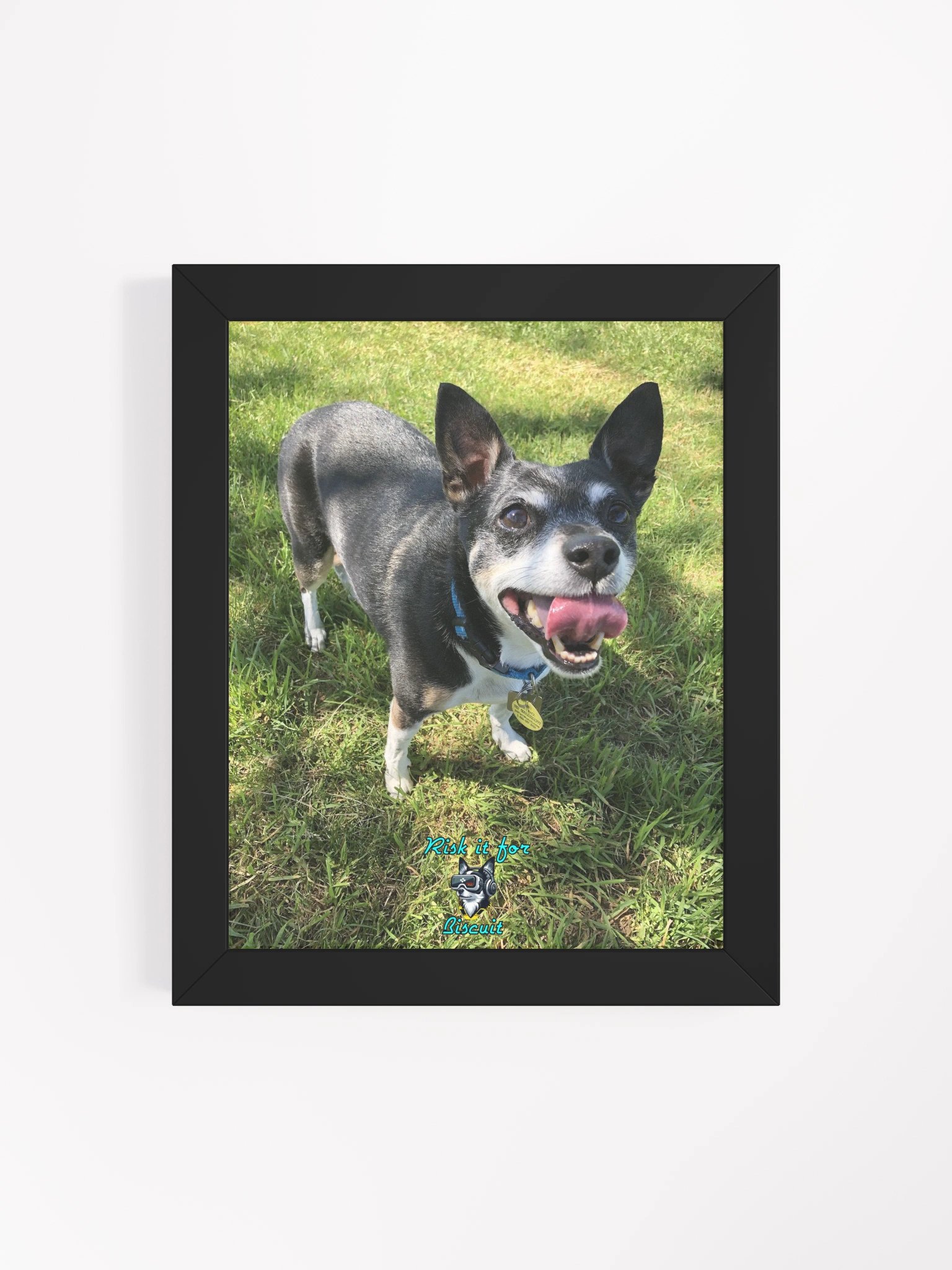 Crew Chief Biscuit - Ready for the summer season! product image (12)