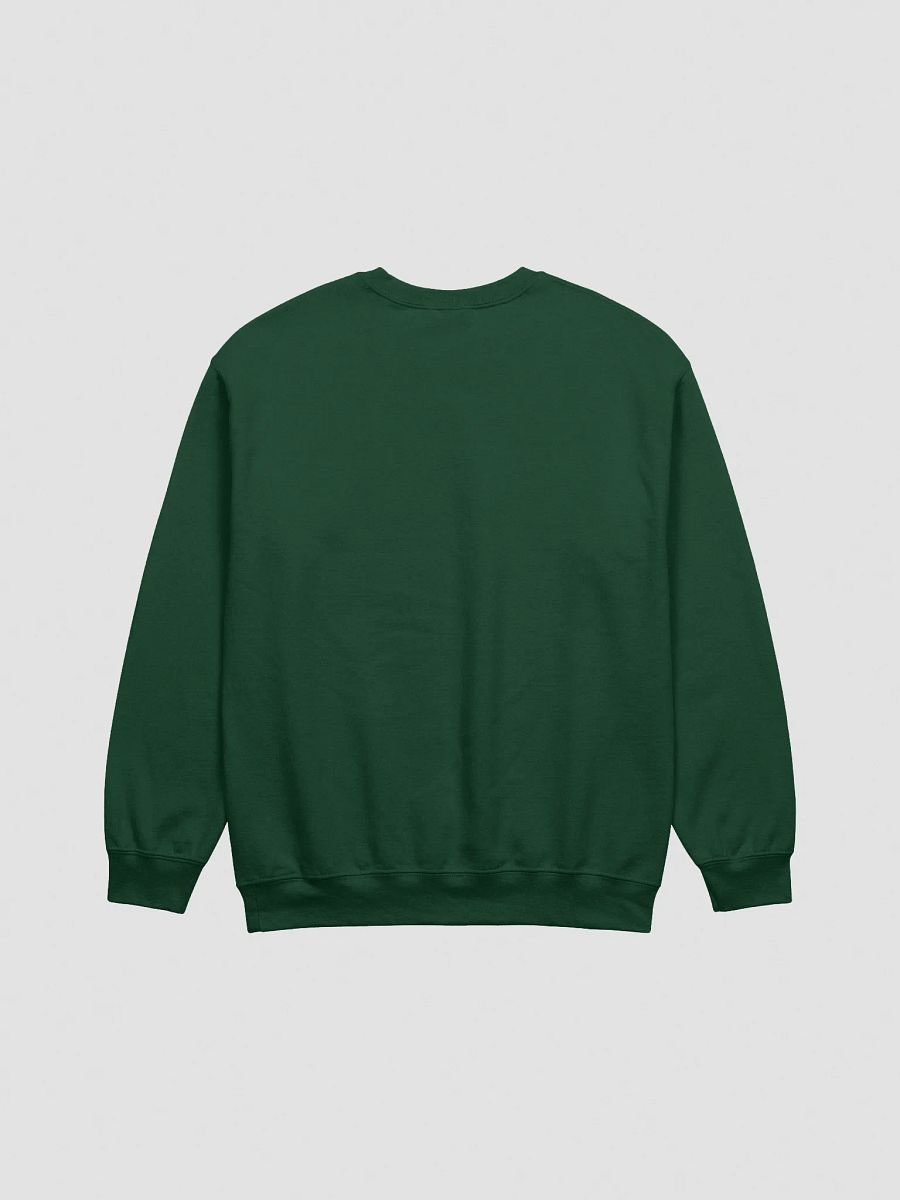 Born to Inform Manifestor Embroidered Sweatshirt (Blue) product image (3)