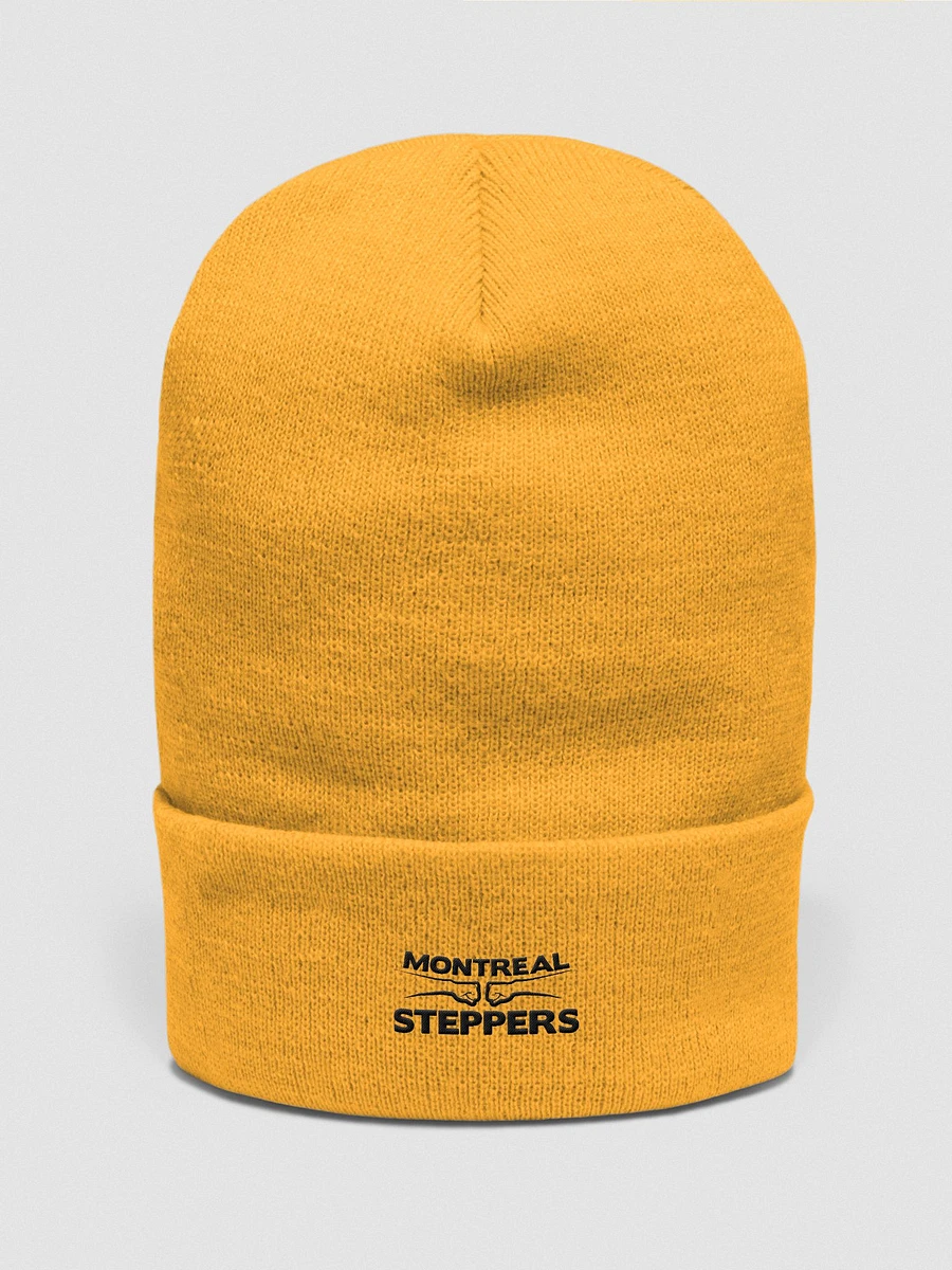 Montreal Steppers Beanie product image (1)